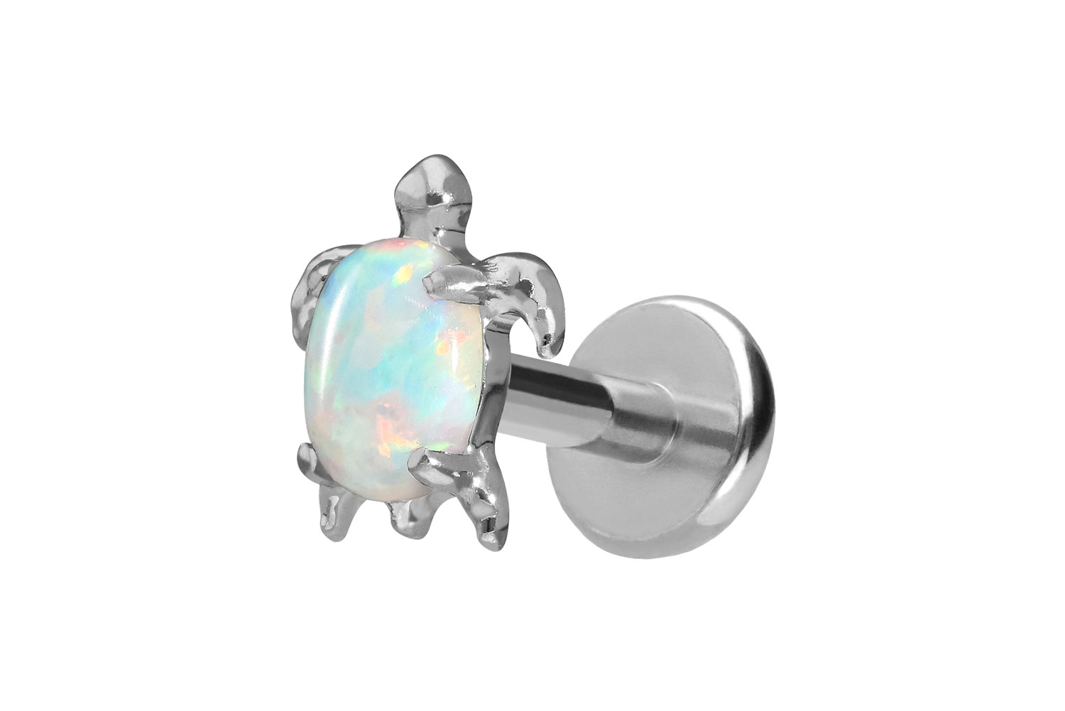 Titan Labret Piercing mit Push Fit SCHILDKRÖTE